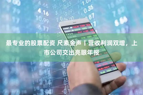 最专业的股票配资 尺素金声丨营收利润双增，上市公司交出亮眼年报